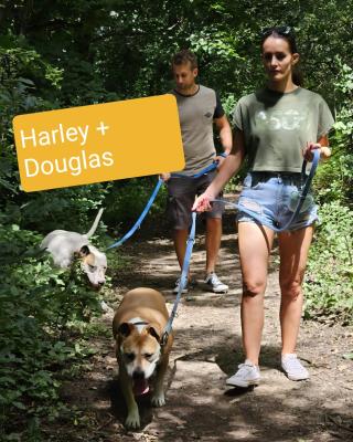 Harley_und_Douglas.jpg