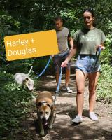 Harley_und_Douglas~0~0.jpg